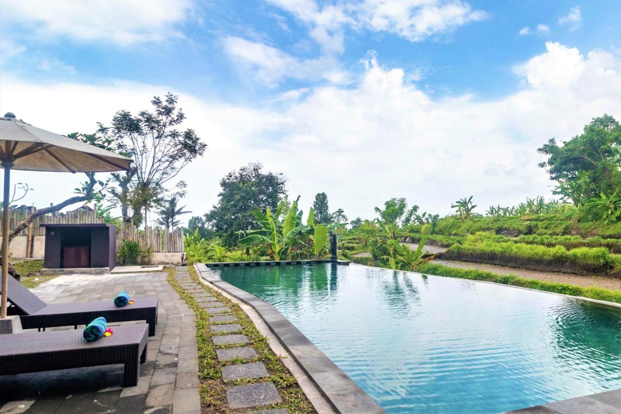 Alamgangga Villas Tirta Gangga Карангасем Экстерьер фото