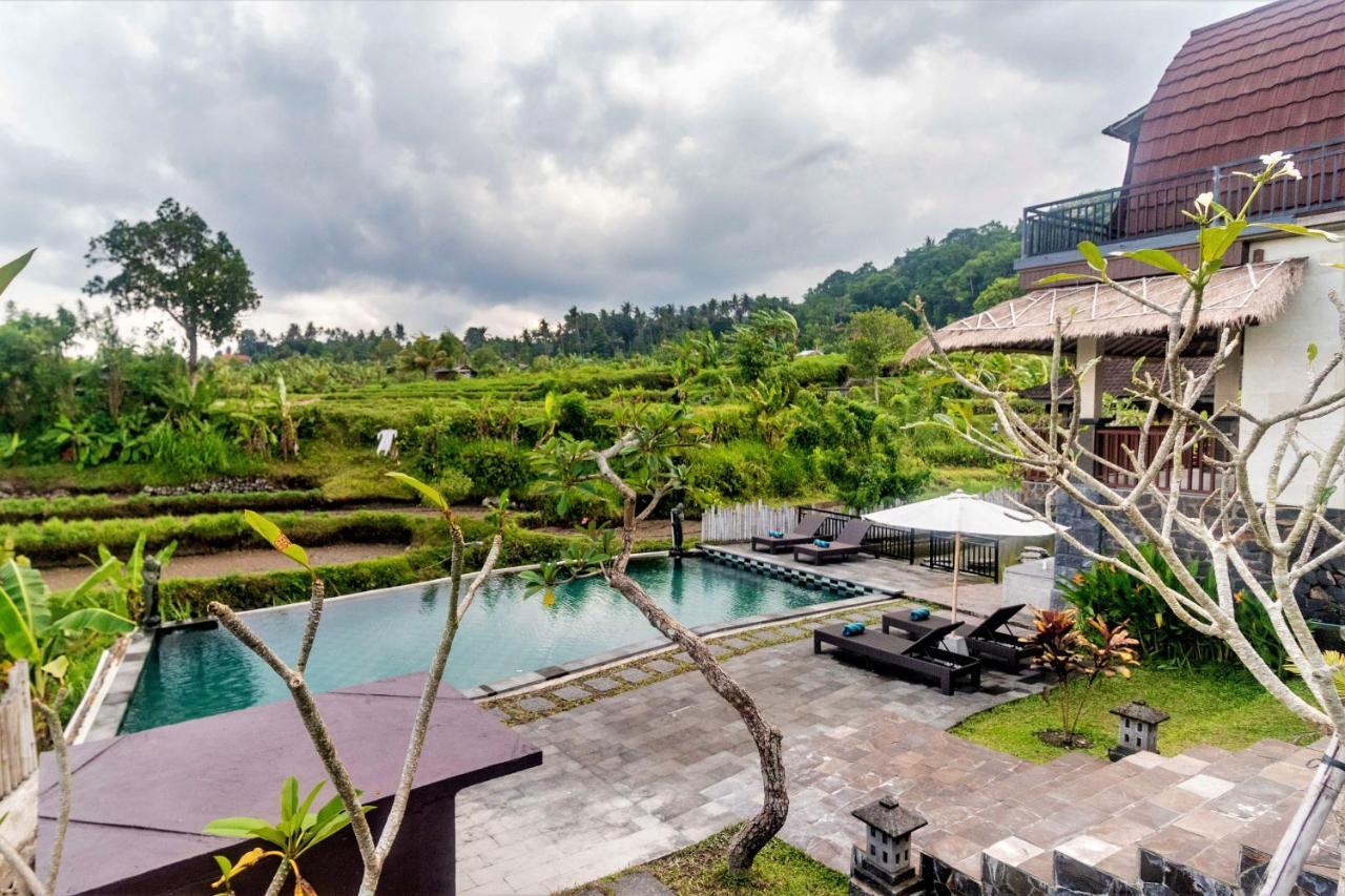 Alamgangga Villas Tirta Gangga Карангасем Экстерьер фото