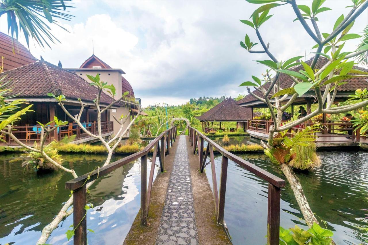 Alamgangga Villas Tirta Gangga Карангасем Экстерьер фото