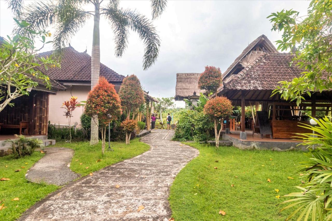 Alamgangga Villas Tirta Gangga Карангасем Экстерьер фото